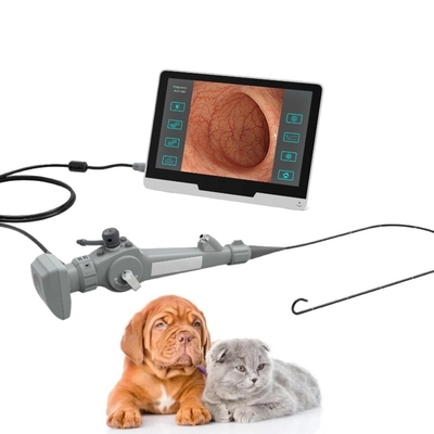 Draagbare Flexibele Videoendoscoop voor Dierlijke Cystoscopy Bronchscopy