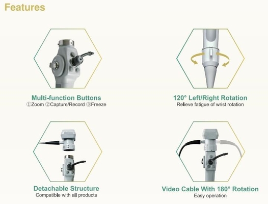 Draagbare Flexibele Videoendoscoop voor Dierlijke Cystoscopy Bronchscopy